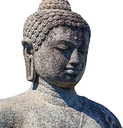 BOROBUDUR (Spanish Edition) | Luxury edition: dust jacket, clothbound, XL size | 11.8x1.8x13.2 in | 7 lbs | A must have top quality coffee table book