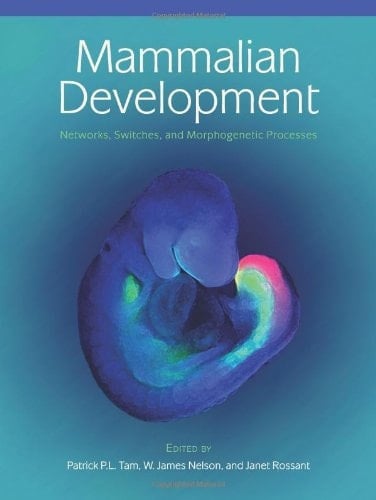 Mammalian Development Networks, Switches, and Morphogenetic Processes