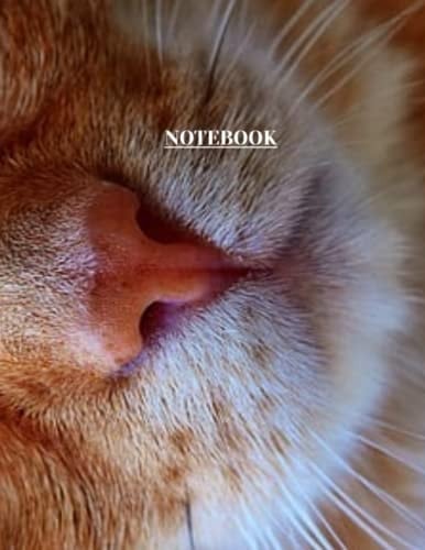 Notebook: Cat Nose Print Composition Notebook, Journal or Diary - College Ruled 110 Pages - Large 8.5 x 11