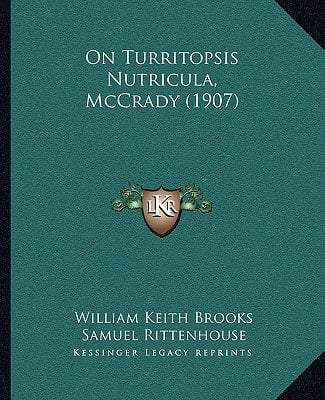 On Turritopsis Nutricula, McCrady (1907)