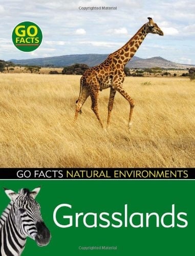 Grasslands Natural Environments