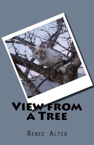 View from a Tree Black and White