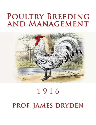 Poultry Breeding and Management 1916