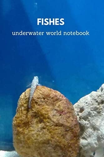 Fishes Underwater World Notebook Aquarium Notebook: Sweet Gift for Small and Big Lovers of the Underwater World | Journal | Diary | Sketch Book