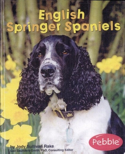 English Springer Spaniels