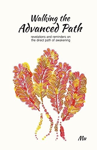 Walking the Advanced Path Revelations and Reminders on the Direct Path of Awakening