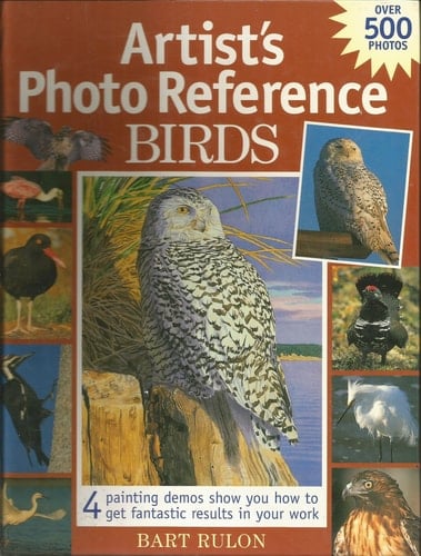 Artist's Photo Reference - Birds