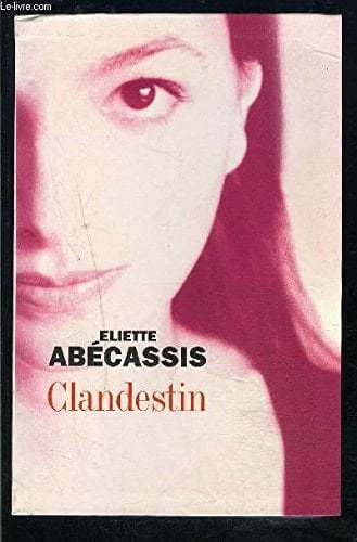 Clandestin : roman