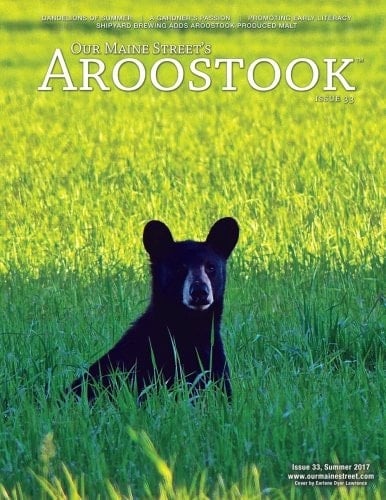 Our Maine Street's Aroostook Issue 33