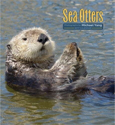 2017 Sea Otters Wall Calendar