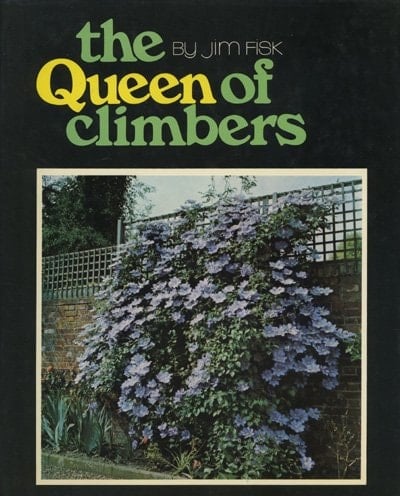 The Queen of Climbers