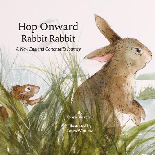 Hop Onward Rabbit Rabbit A New England Cottontail's Journey