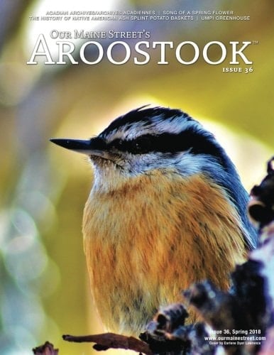 Our Maine Street's Aroostook Issue 36