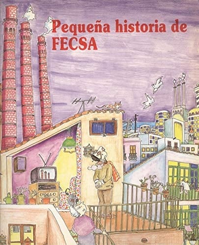 Petita història de FECSA