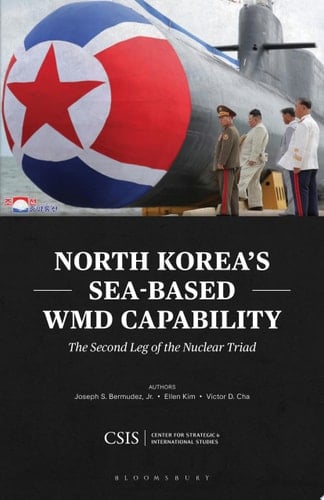 North Korea's Sea-Based WMD Capability