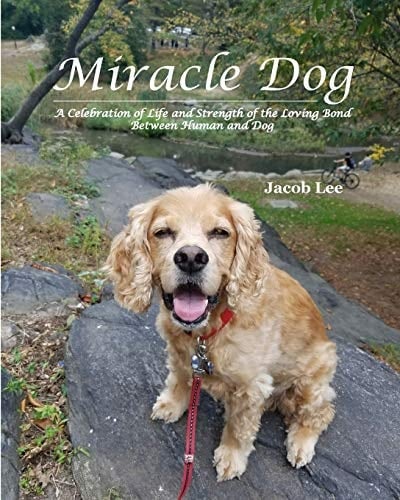 Miracle Dog A Celebration of Life and Strength of the Loving Bond Between Human and Dog