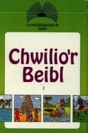 Chwilio'r Beibl