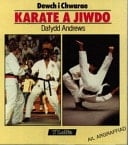 Dewch I Chwarae Karate