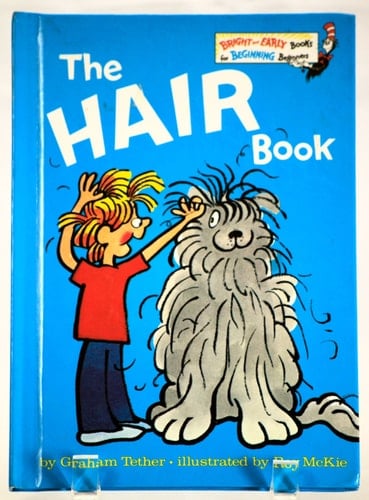The Hair Book