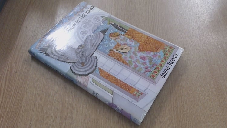 The shadow of the hawk