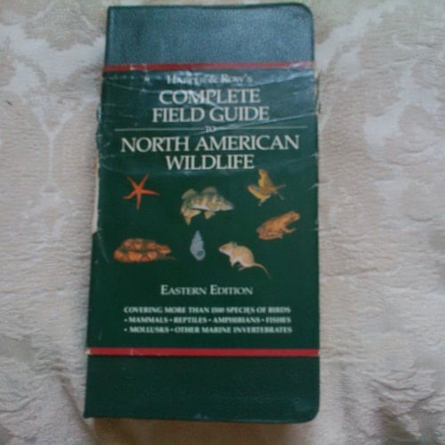 A Field Guide to the Birds of South East Asia (Collins Pocket Guide)