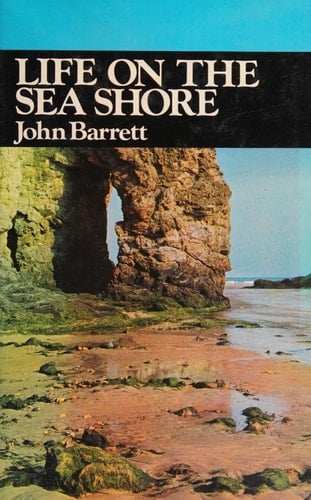 Life on the Sea Shore