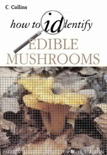 How to Identify Edible Mushrooms