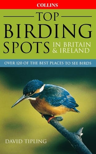 Top Birding Spots in Britain & Ireland