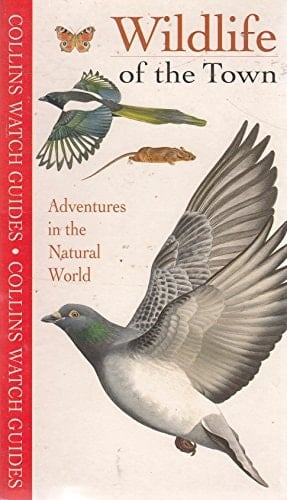 Wildlife of the Town (Collins Watch Guide)