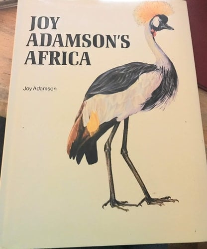 Africa