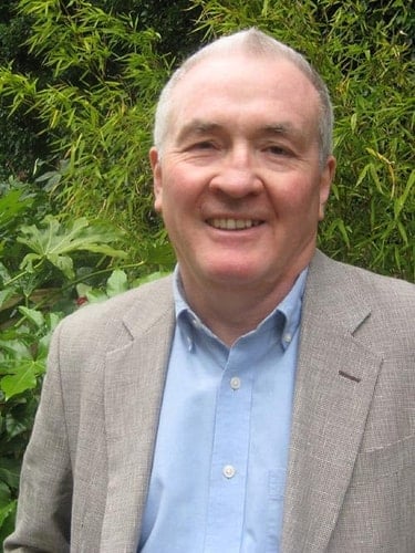 Collins Pathways Big Book Stage 3 Set B: One Puzzled Parrot (Collins Pathways)