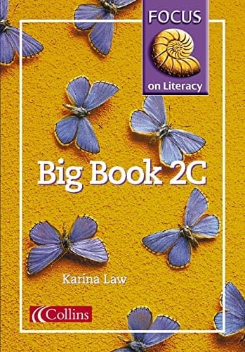 Focus on Literacy: Big Book 2C