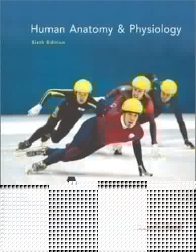 Human Anatomy&Physiology (6th Edition) Text Only by Elaine N. Marieb (2004-05-03)