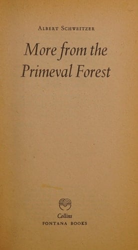 More from the Primeval Forest
