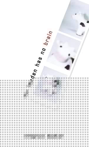 Mr. Landen Has No Brain