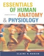 Essentials of Human Anatomy and Physiology- Text Only 8th edition by Elaine N. Marieb (2006) Paperback