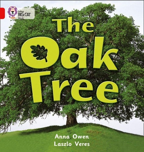 The Oak Tree (Collins Big Cat)