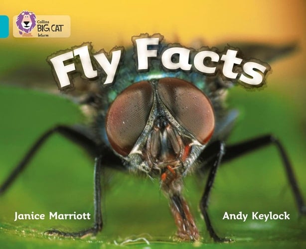 Fly Facts (Collins Big Cat)