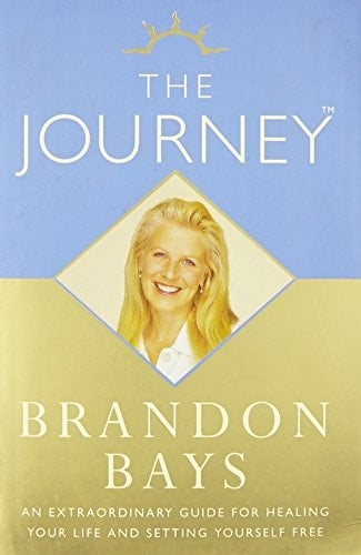 The Journey [Paperback] [Feb 19, 2007] BRANDON BAYS