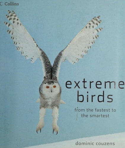 Extreme Birds