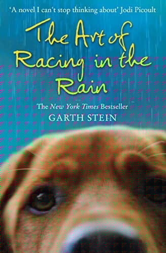 the art of racing in the rain: a novel. garth stein