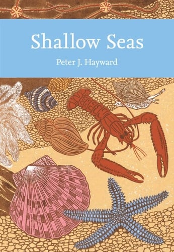 Shallow Seas: Book 131 (Collins New Naturalist Library)