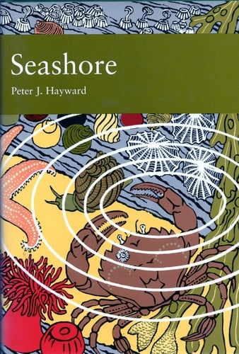 Seashore: Book 94 (Collins New Naturalist Library)