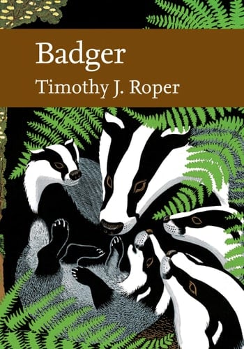 Badger (Collins New Naturalist Library, Book 114)