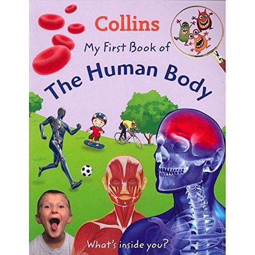 Collins My First Book of the Human Body