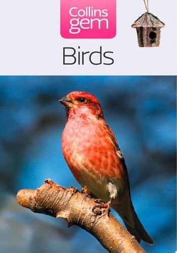 Birds (Collins Gem)
