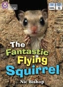 Collins Big Cat - the Fantastic Flying Squirrel: Band 04/Blue