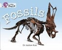 Collins Big Cat - Fossils: Band 10/ White