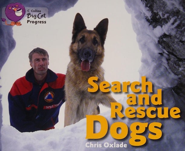 Search and Rescue Dogs Band 06 Orange/Band 14 Ruby