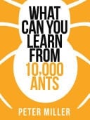 What You Can Learn From 10,000 Ants (collins Shorts, Book 4)